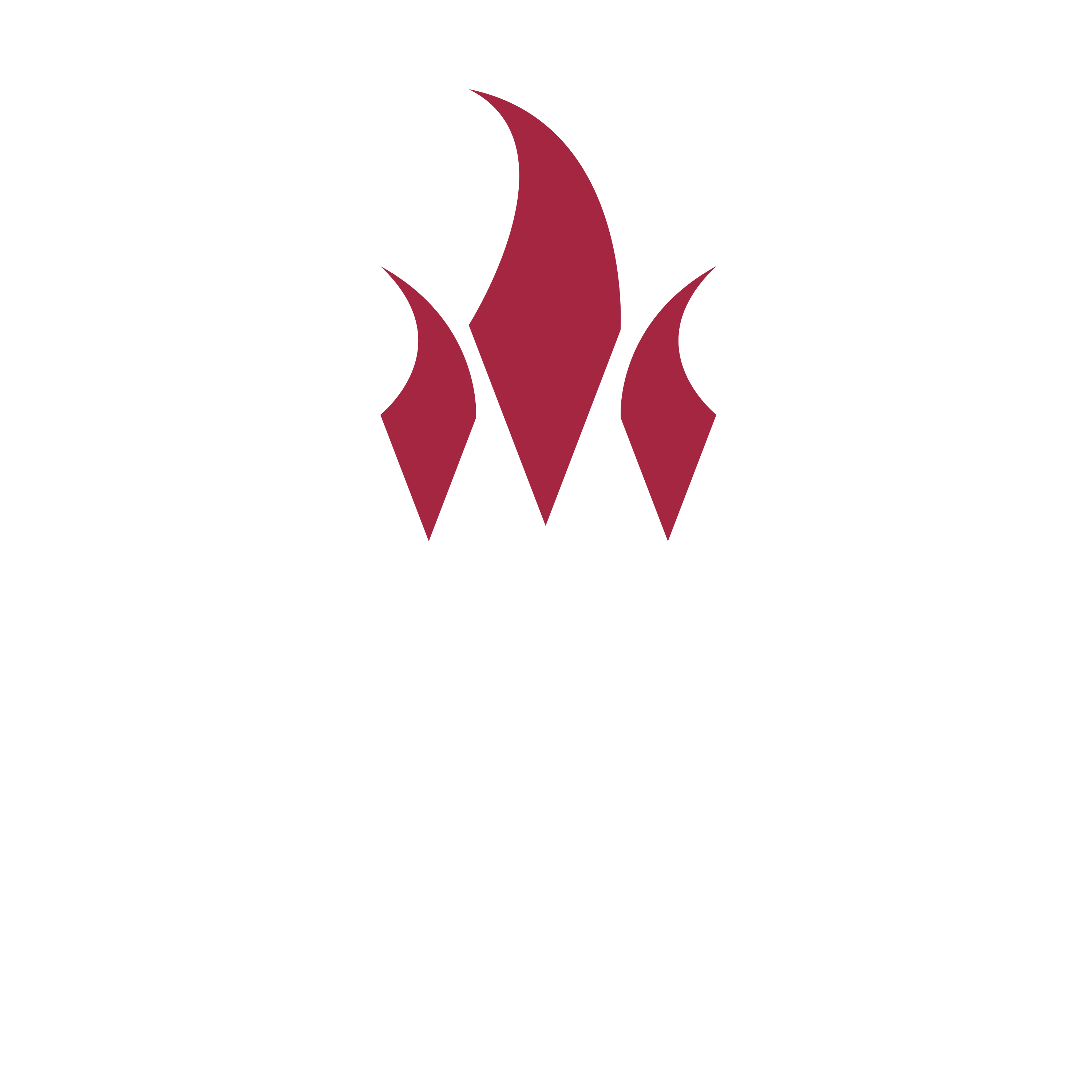 Logo Misión Identidad